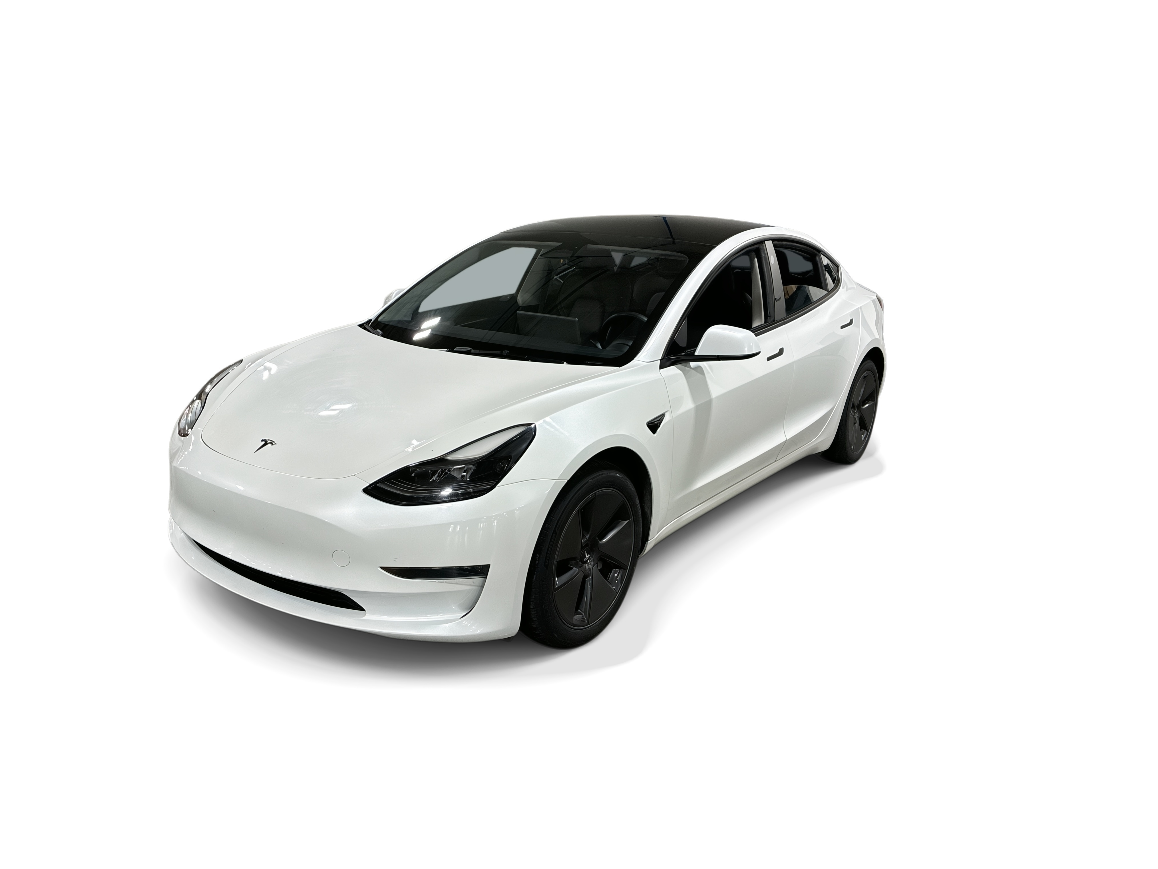 tesla model 3 2023 5YJ3E1EA1PF626464 image tesla model 3 2023 5YJ3E1EA1PF626464 image